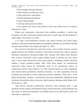 Vadovo vadovavimo stiliaus reikšmė darbuotojų motyvacijai 18 puslapis