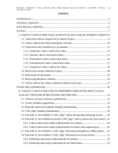 Vadovo vadovavimo stiliaus reikšmė darbuotojų motyvacijai 3 puslapis