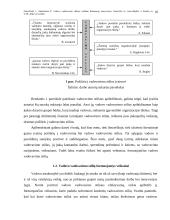 Vadovo vadovavimo stiliaus reikšmė darbuotojų motyvacijai 10 puslapis
