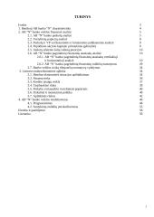 AB “N” banko valdymo analizė 2 puslapis