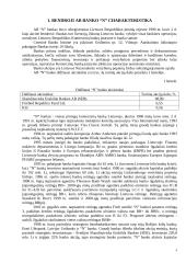 AB “N” banko valdymo analizė 4 puslapis