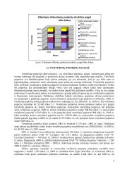AB “N” banko valdymo analizė 8 puslapis