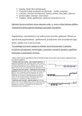 Žinybinis transportas 6 puslapis