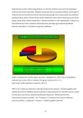 Konkurencijos esmė 12 puslapis