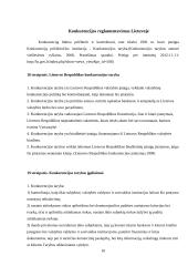 Konkurencijos esmė 10 puslapis