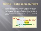 Cheminė ląstelės sudėtis. Kalis 4 puslapis