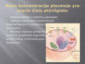 Cheminė ląstelės sudėtis. Kalis 7 puslapis
