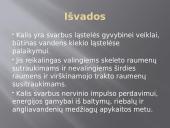 Cheminė ląstelės sudėtis. Kalis 10 puslapis