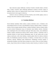 Traukinių eismas 7 puslapis