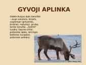 Rusija. Įdomiausi faktai 3 puslapis