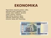Rusija. Įdomiausi faktai 8 puslapis