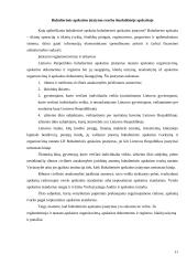 Šiuolaikinės apskaitos tendencijos ir perspektyvos 11 puslapis