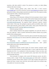 Šiuolaikinės apskaitos tendencijos ir perspektyvos 13 puslapis