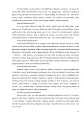 Šiuolaikinės apskaitos tendencijos ir perspektyvos 16 puslapis