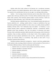 Šiuolaikinės apskaitos tendencijos ir perspektyvos 3 puslapis