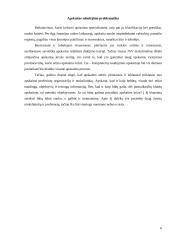 Šiuolaikinės apskaitos tendencijos ir perspektyvos 6 puslapis