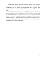 "Debesų" kompiuterija 15 puslapis