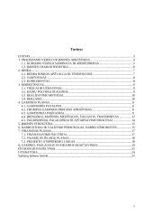 Įmonės „ALYTUS“ gaminamos produkcijos  savikainos skaičiavimas 2 puslapis