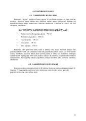 Įmonės „ALYTUS“ gaminamos produkcijos  savikainos skaičiavimas 12 puslapis