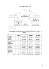 Įmonės „ALYTUS“ gaminamos produkcijos  savikainos skaičiavimas 17 puslapis