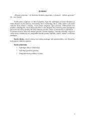 Įmonės „ALYTUS“ gaminamos produkcijos  savikainos skaičiavimas 4 puslapis