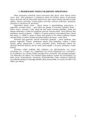 Įmonės „ALYTUS“ gaminamos produkcijos  savikainos skaičiavimas 5 puslapis