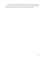 Juridinių asmenų rūšys -kursinis darbas 12 puslapis