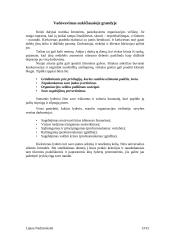 Lyderystė ir vadovavimas. Referatas 13 puslapis