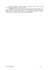 Lyderystė ir vadovavimas. Referatas 5 puslapis