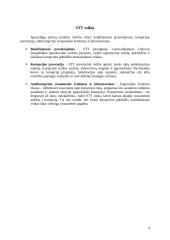 Lietuvos Respublikos specialiųjų tyrimų tarnyba 4 puslapis