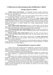 Teisės principų rūšys 4 puslapis