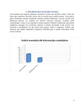 Informacinės saugos problemos 6 puslapis