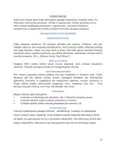 Informacinės saugos problemos 10 puslapis