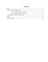 Euro įvedimas Lietuvoje perspektyvos ir problemos 2 puslapis