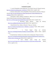 Euro įvedimas Lietuvoje perspektyvos ir problemos 13 puslapis