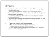 Euro įvedimas Lietuvoje. Perspektyvos ir problemos  10 puslapis