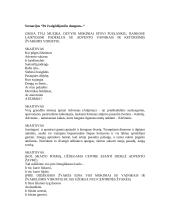 Scenarijus “Po žvaigždėjančiu dangum...“