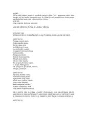Scenarijus “Po žvaigždėjančiu dangum...“ 6 puslapis
