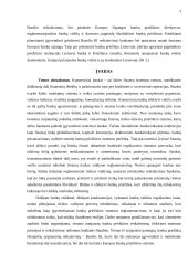 Bankų priežiūros būtinumas ir praktika 2 puslapis