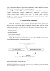 Bankų priežiūros būtinumas ir praktika 11 puslapis