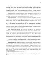 Bankų priežiūros būtinumas ir praktika 15 puslapis