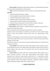 Bankų priežiūros būtinumas ir praktika 3 puslapis