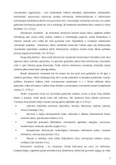Informacinės visuomenės samprata 4 puslapis