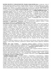  Bendra biudžetų charakteristika