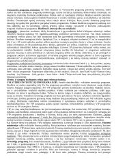  Bendra biudžetų charakteristika 3 puslapis