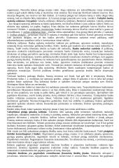  Bendra biudžetų charakteristika 5 puslapis