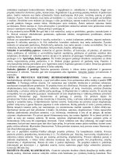  Bendra biudžetų charakteristika 6 puslapis