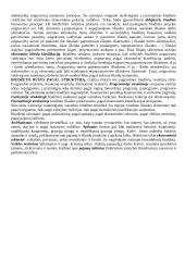  Bendra biudžetų charakteristika 8 puslapis