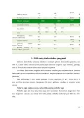 Užimtumo skatinimas Lietuvoje 12 puslapis