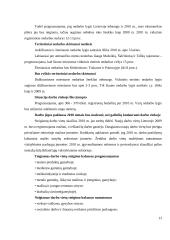 Užimtumo skatinimas Lietuvoje 13 puslapis